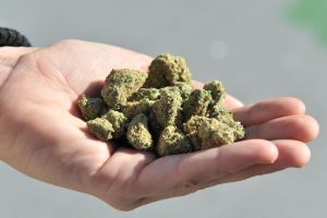 गाजा सहित  एक युवा पक्राउ